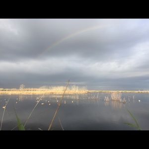 Meet your Posher, Nico